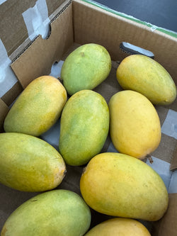 Kesar mangoes