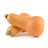 Butternut Squash