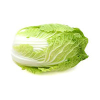 Cabbage Napa