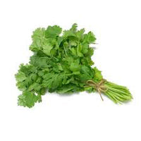 Cilantro/ Coriander/ Dhania/ Chinese parsley