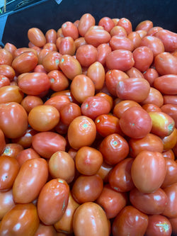 Plum tomato (Special)