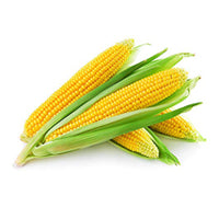 Fresh Corn