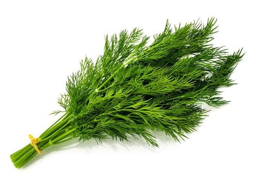Dill