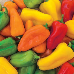 Mini pepper