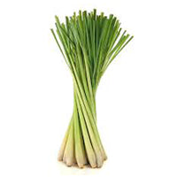 Lemon Grass