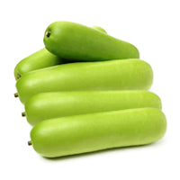 Long Squash - Bottle Gourd