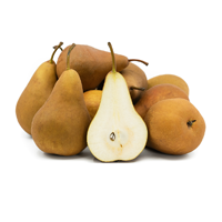 Pear Bosc