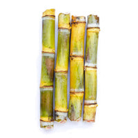 Sugar Cane