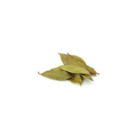 Bay leaf