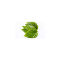 Paan Leaves (Betel)