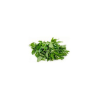 Bathua Leaf