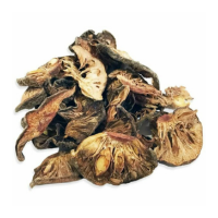 White Kokum
