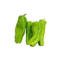 Cuban Pepper