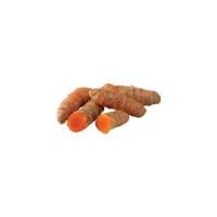 Root Turmeric