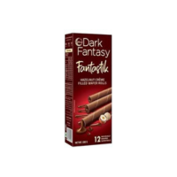 Dark fantastik