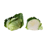 Cabbage