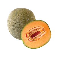 Cantaloupe