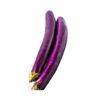Chinese eggplant