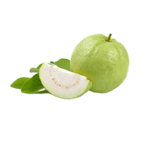 Guava