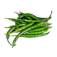 Medium Chilli
