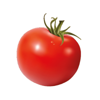 Plum tomato (Special)