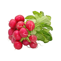 Red muli/raddish bag