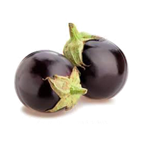 Round eggplant