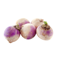 Turnip