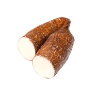 Yuka (Yuca Root (Cassava))