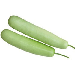 Indian/Desi Long squash