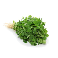 Methi bunch