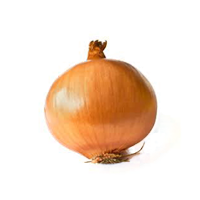 Yellow onion